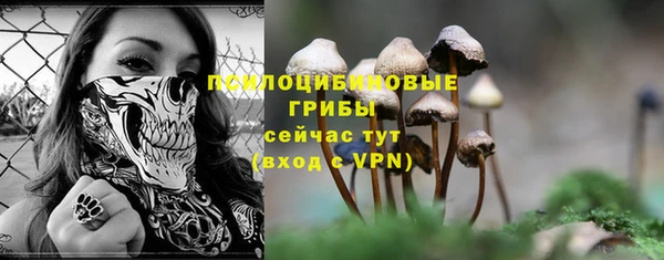 дмт Магас