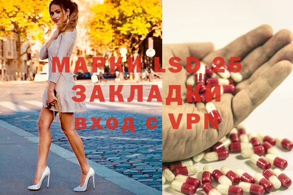 гашик Майский