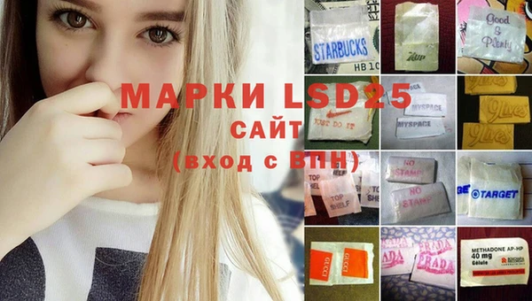 гашик Майский