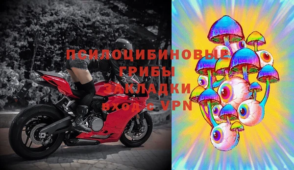 дмт Магас