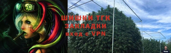 гашик Майский