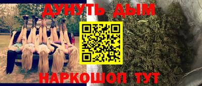 стаф Заводоуковск