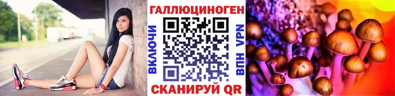 дарнет шоп  Мытищи  Псилоцибиновые грибы MAGIC MUSHROOMS 