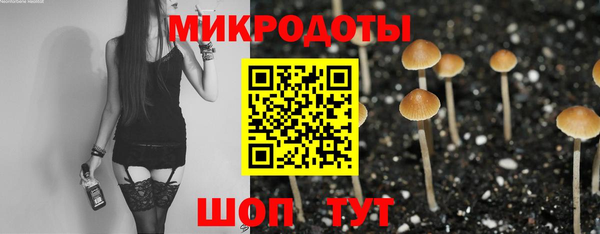 Мытищи  Галлюциногенные грибы Psilocybine cubensis  закладки  Псилоцибиновые грибы прущие грибы  Вход с VPN 