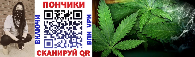 Канабис индика  закладки  Мытищи 